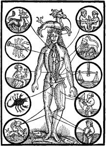 corpio zodiac body parts